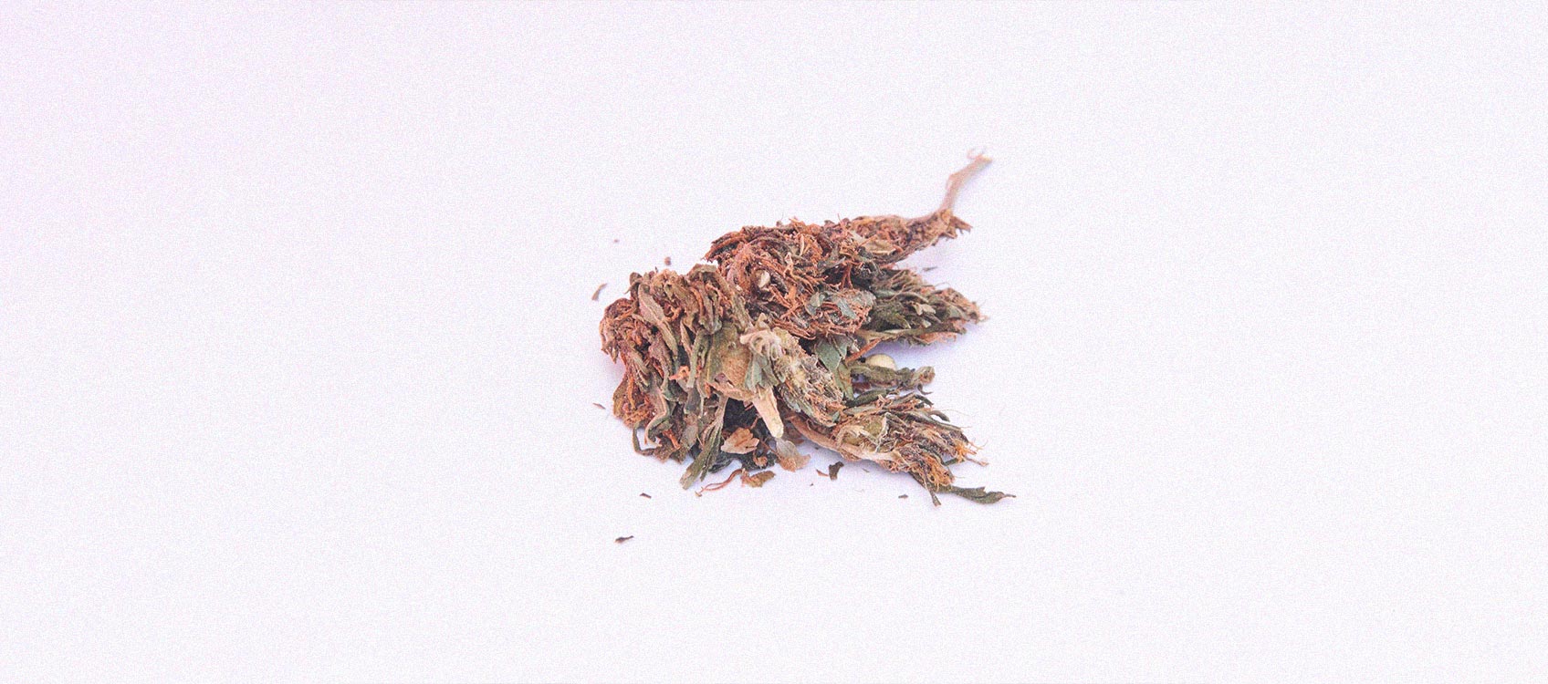 What Is Reggie Weed and Should You Smoke It? What Is Reggie Weed and Should You Smoke It?