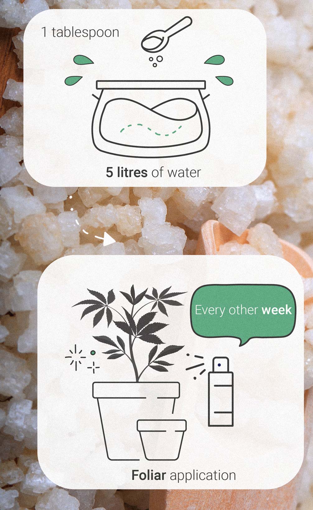 Epsom Salts: a natural hack to grow healthy cannabis plants