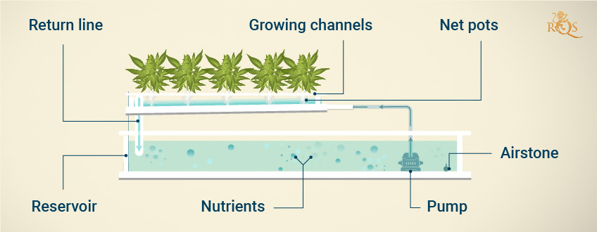 Nutrient Film Technique (NFT) Hydroponic System