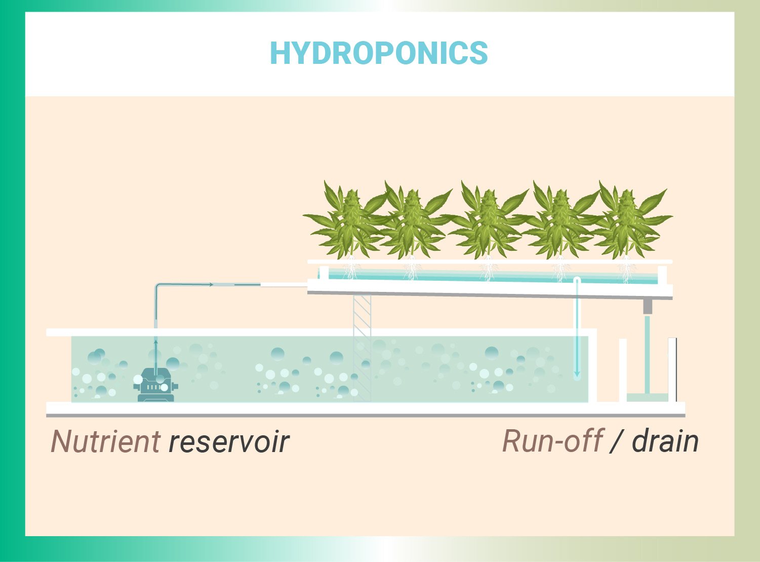 HOW TO MEASURE NUTRIENT CONCENTRATION HOW TO MEASURE NUTRIENT CONCENTRATION