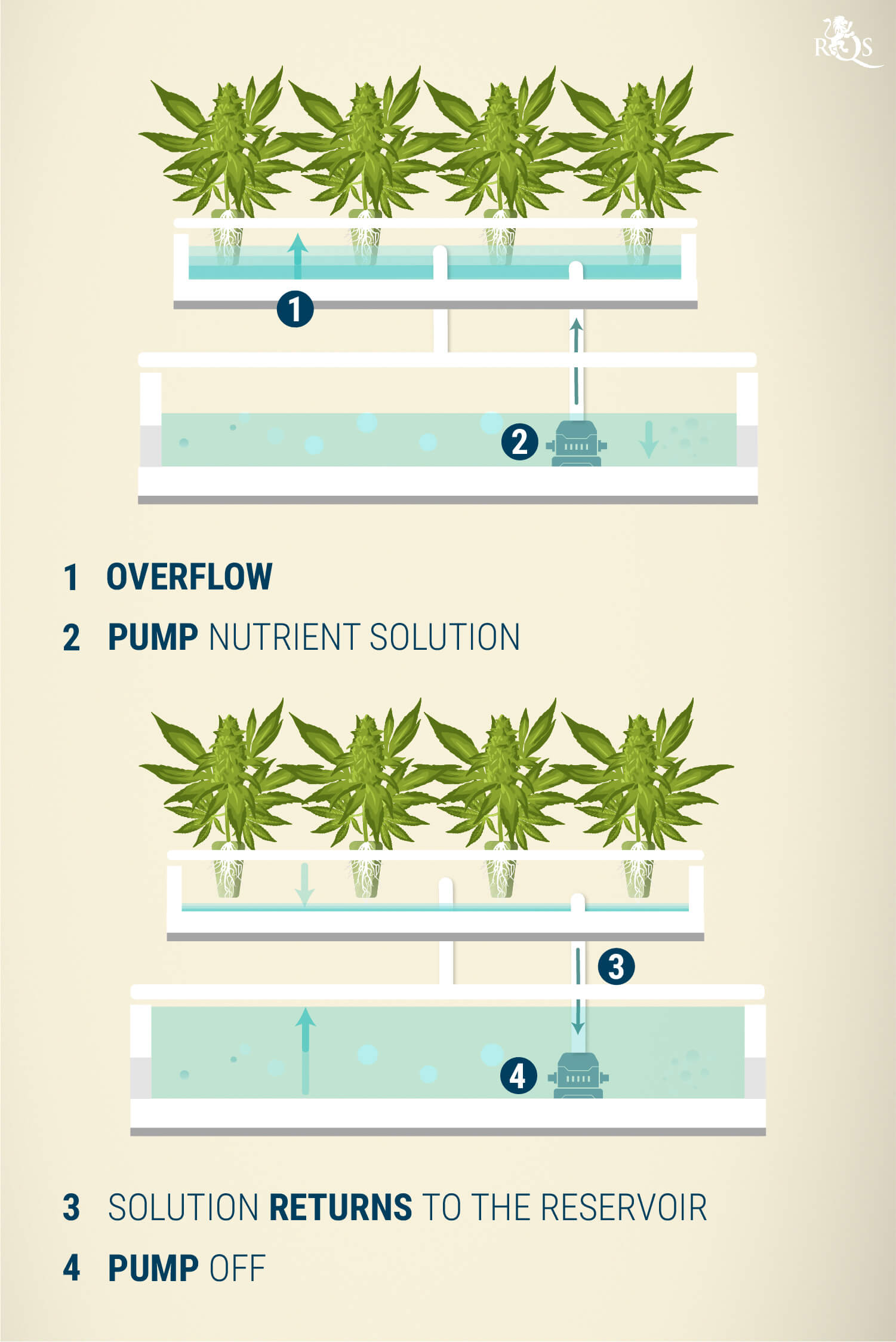 Step By Step Guide To Planting HydroCare Plants