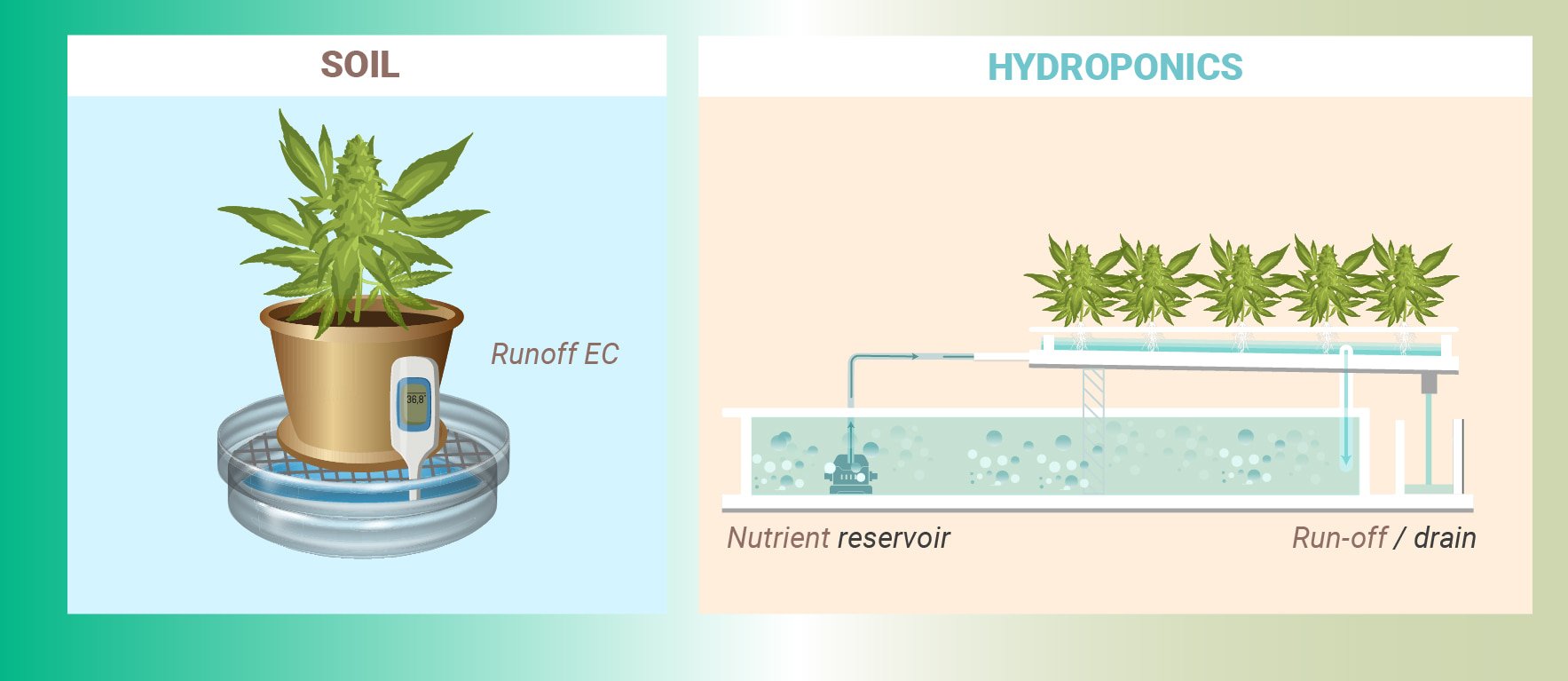 HOW TO MEASURE NUTRIENT CONCENTRATION HOW TO MEASURE NUTRIENT CONCENTRATION