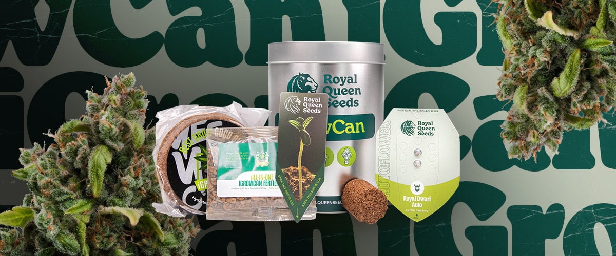 Royal Queen Seeds iGrowCan: Grow Your Own Cannabis Easily Royal Queen Seeds iGrowCan grow kit with seeds, soil, fertilizer, and pot, ideal for growing cannabis at home easily.