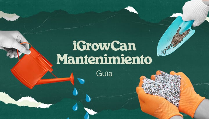 iGrowCan Maintenance Guide: Watering and Fertilization for a Successful Grow Image representing the iGrowCan maintenance guide, showing the watering and fertilization process for a healthy and successful grow.