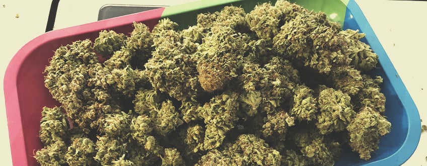 Lemon Shining Silver Haze space cookies recipe
