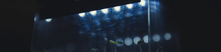 Lighting Lighting