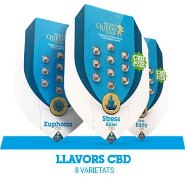 llavors-cbd-cannabis