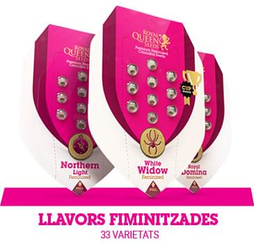 llavors-feminitzades-cannabis