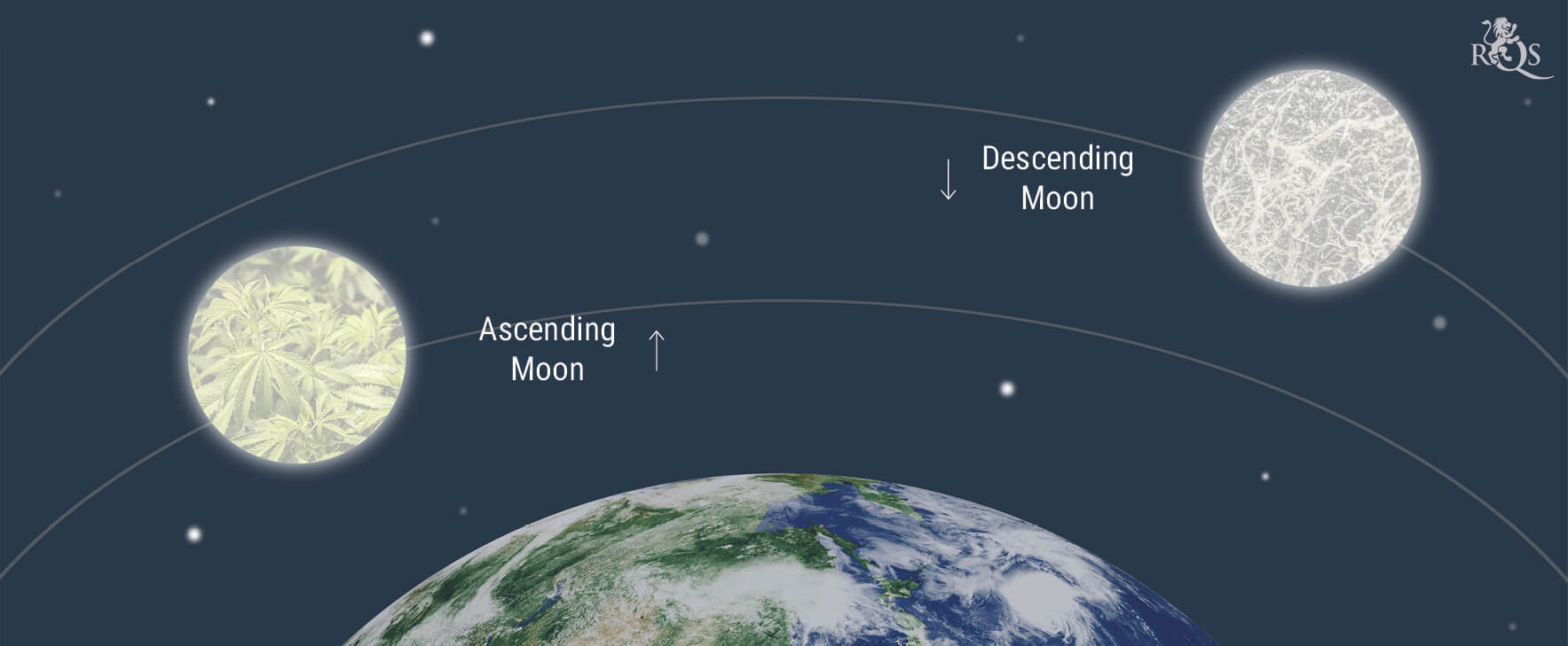 How the Moon Affects Cannabis Growing How the Moon Affects Cannabis Growing