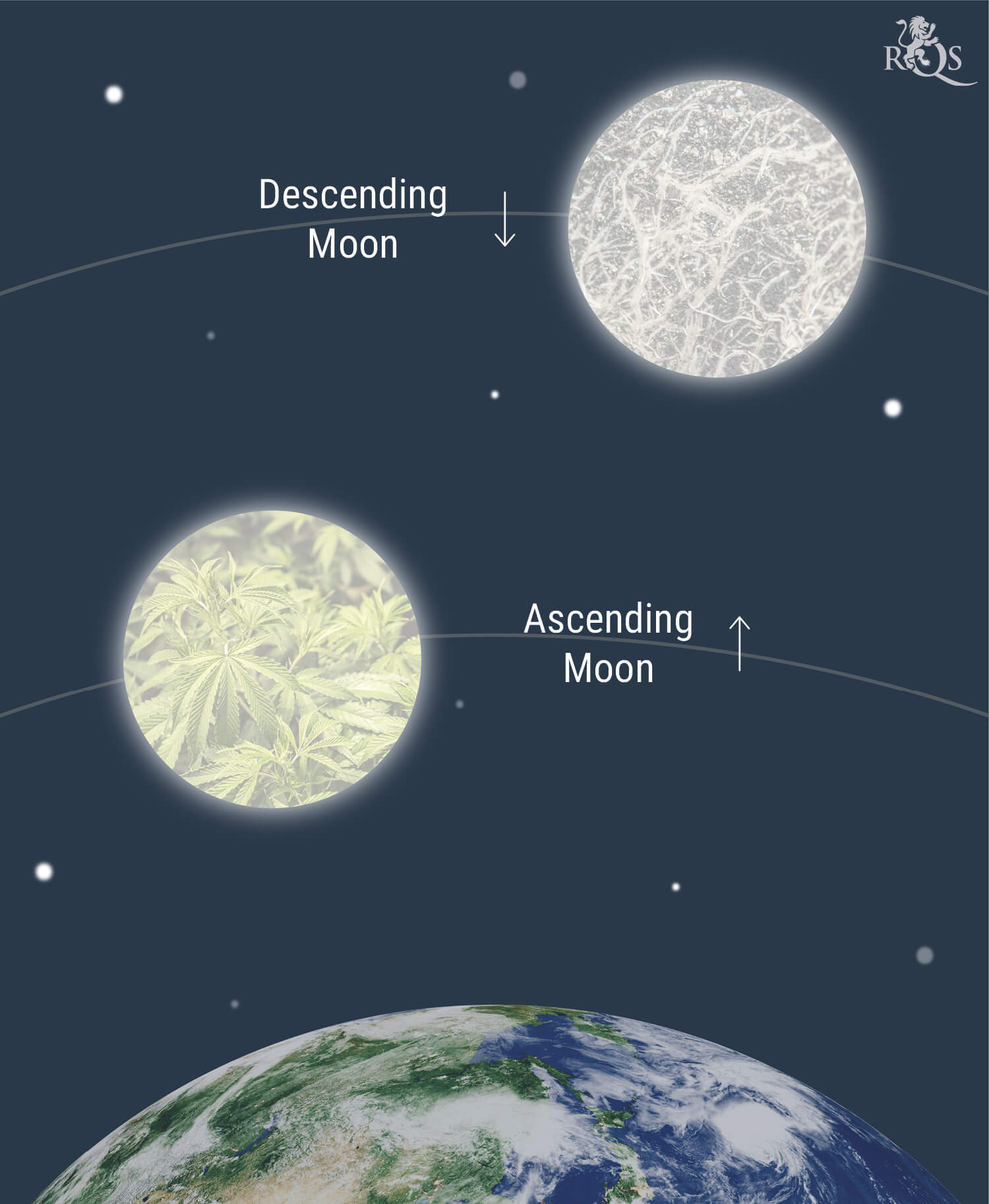 How the Moon Affects Cannabis Growing