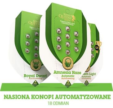nasiona-konopy-automatyzowane