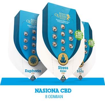 nasiona-konopy-cbd