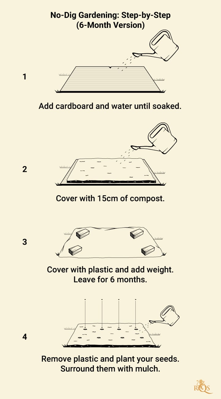 No Till Gardening Step by Step