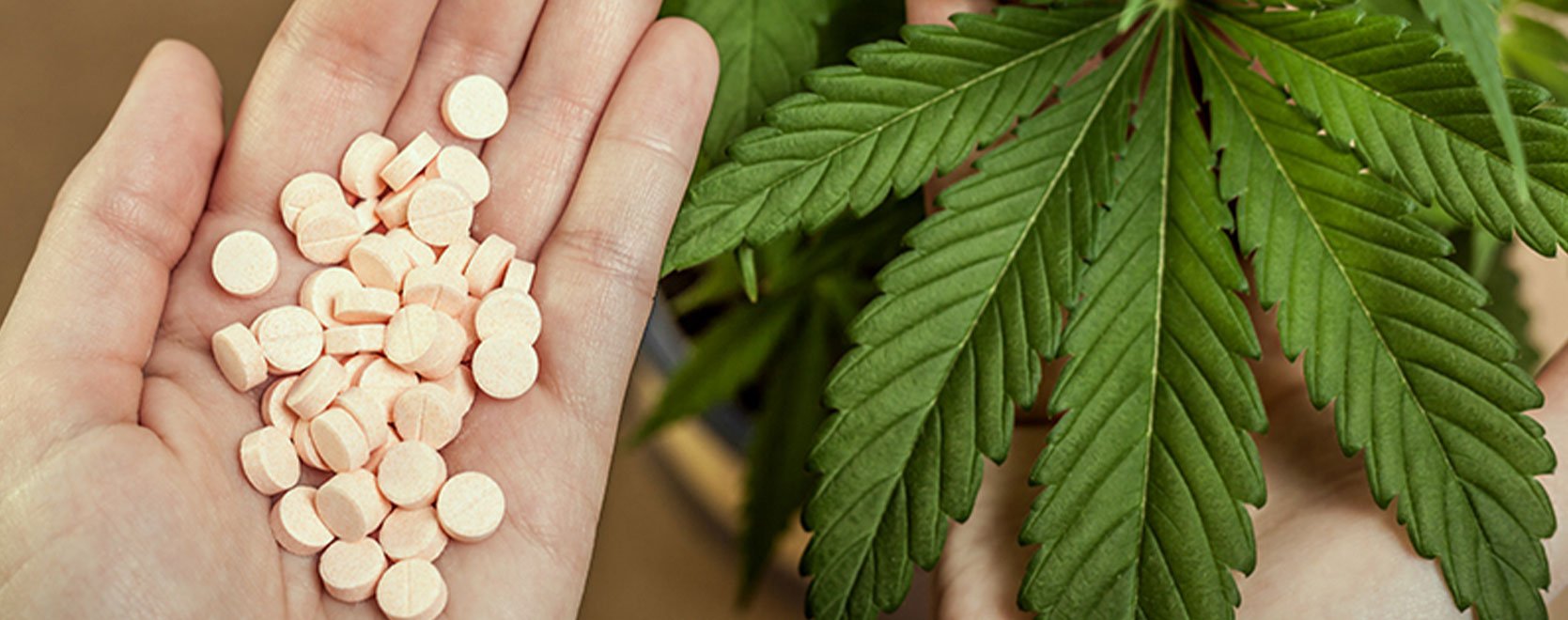 Could Cannabis Be Used Instead Of Opioids?