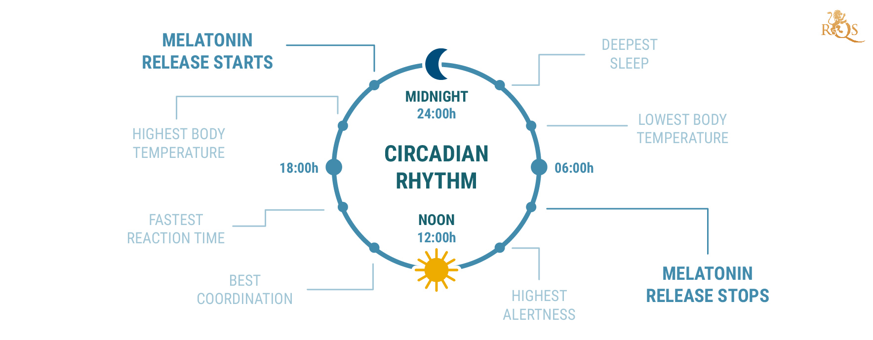What Is Circadian Rhythm?