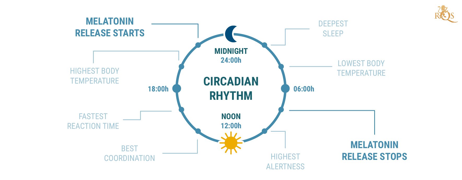 What Is Circadian Rhythm? What Is Circadian Rhythm?