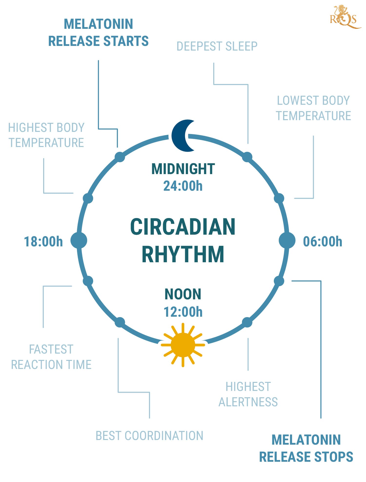 What Is Circadian Rhythm? What Is Circadian Rhythm?