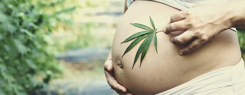 Cannabis and CBD Use During Pregnancy