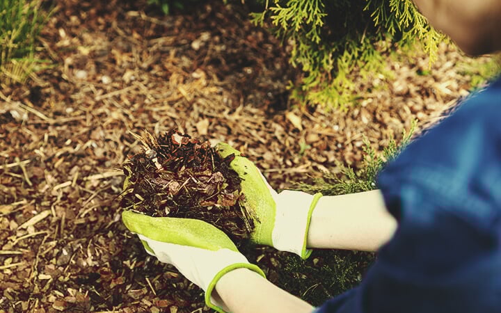 Soil Care and Housekeeping Soil Care and Housekeeping