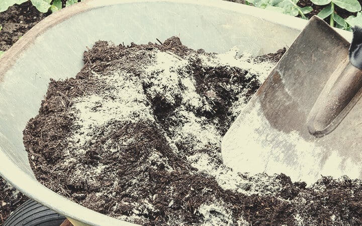 Try All-Purpose Flour Try All-Purpose Flour
