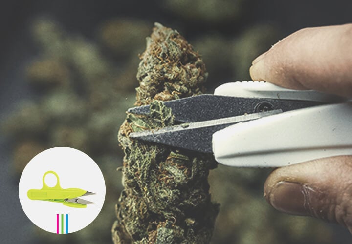 Pruning Shears Pruning Shears