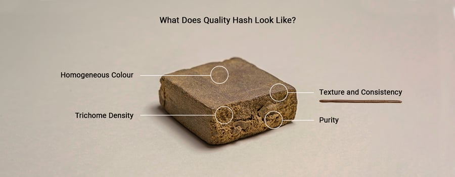 quality-hash-desktop-EN