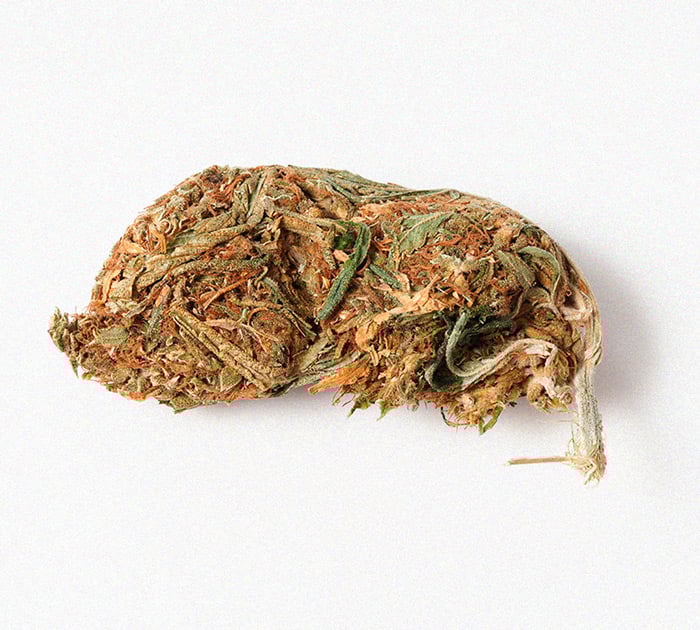 What Is Reggie Weed and Should You Smoke It? What Is Reggie Weed and Should You Smoke It?