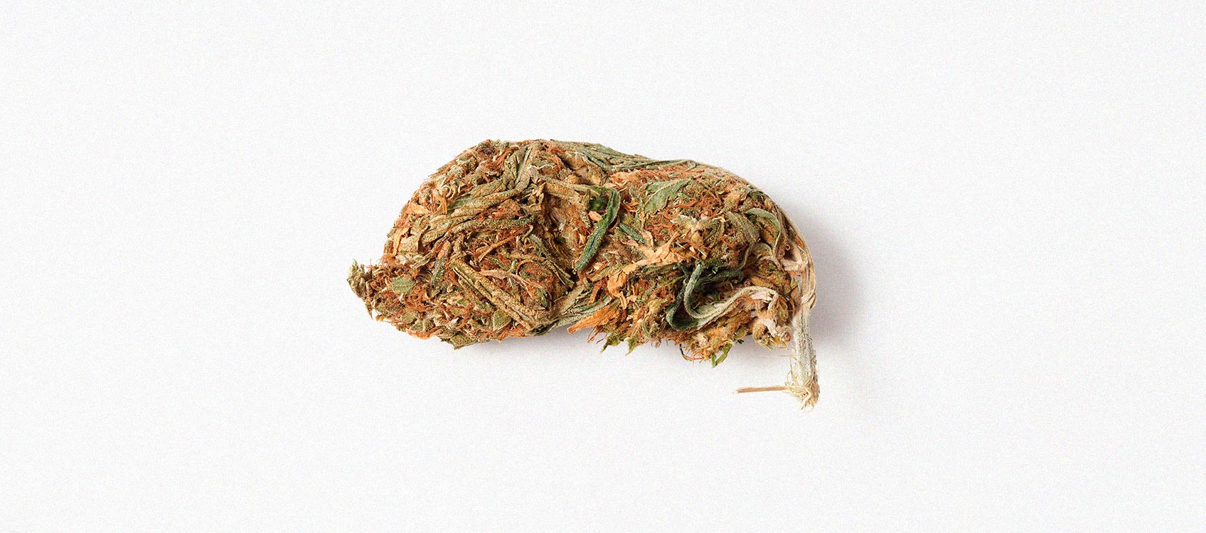What Is Reggie Weed and Should You Smoke It? What Is Reggie Weed and Should You Smoke It?