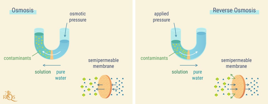 How Does Reverse Osmosis Work? How Does Reverse Osmosis Work?