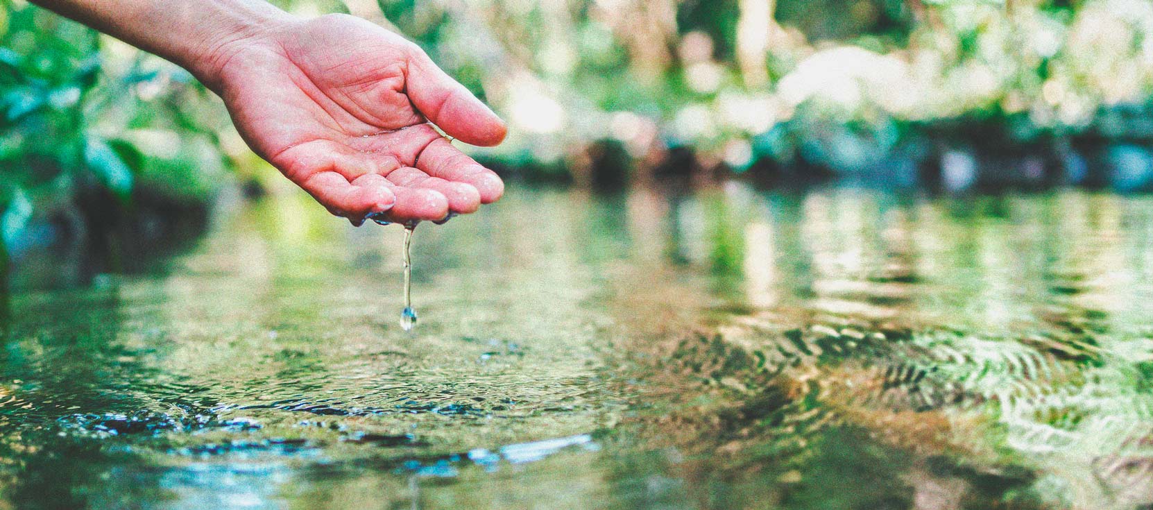 Cannabis And Water Quality Part 3: Choosing A Water Source