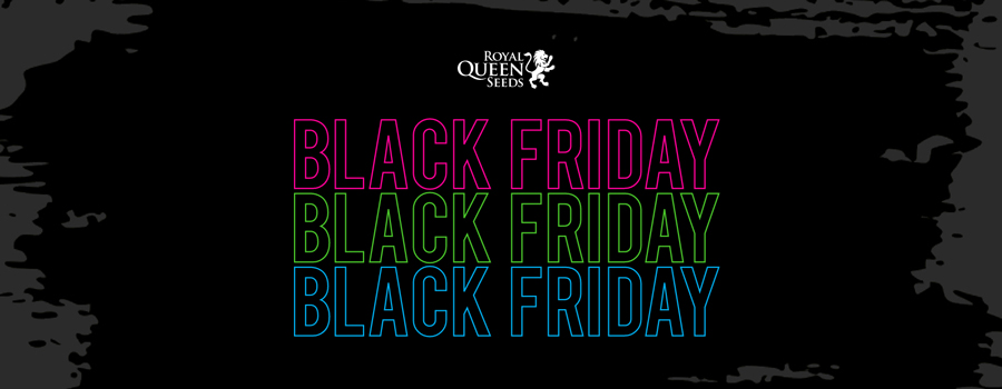 Royal Queen Seeds Black Friday 2020