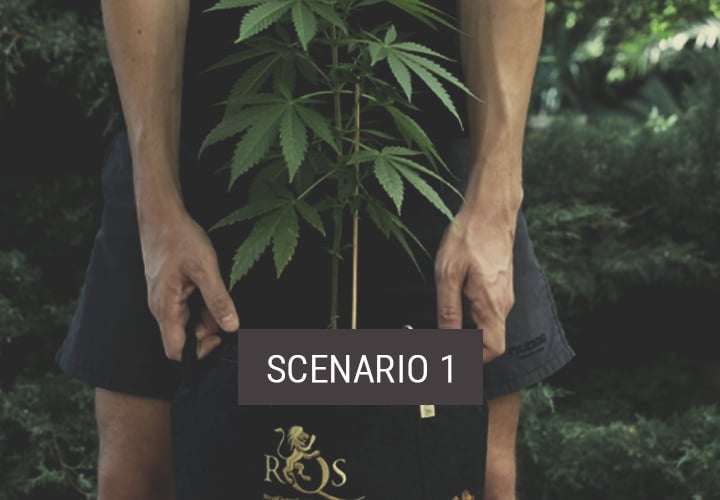 Scenario 1: How to Move Indoor Plants Outdoors to Continue Vegging Scenario 1: How to Move Indoor Plants Outdoors to Continue Vegging