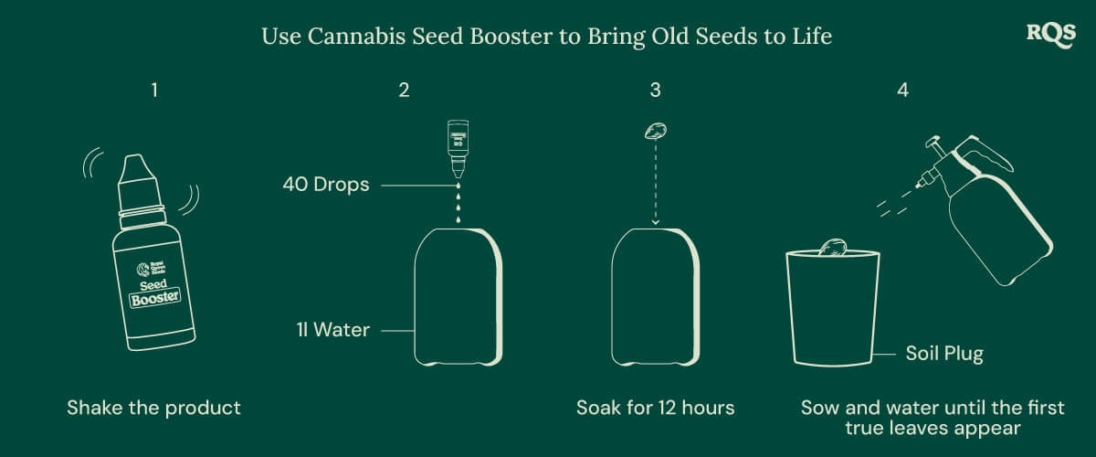 Seed booster cannabis old seed Seed booster cannabis old seed