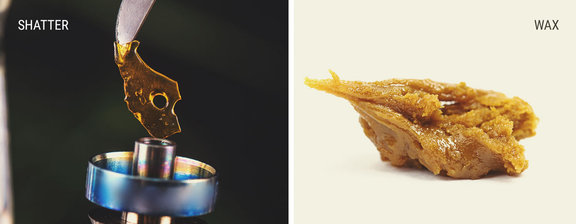 Shatter vs Wax: Is There a Difference? Shatter vs Wax: Is There a Difference?