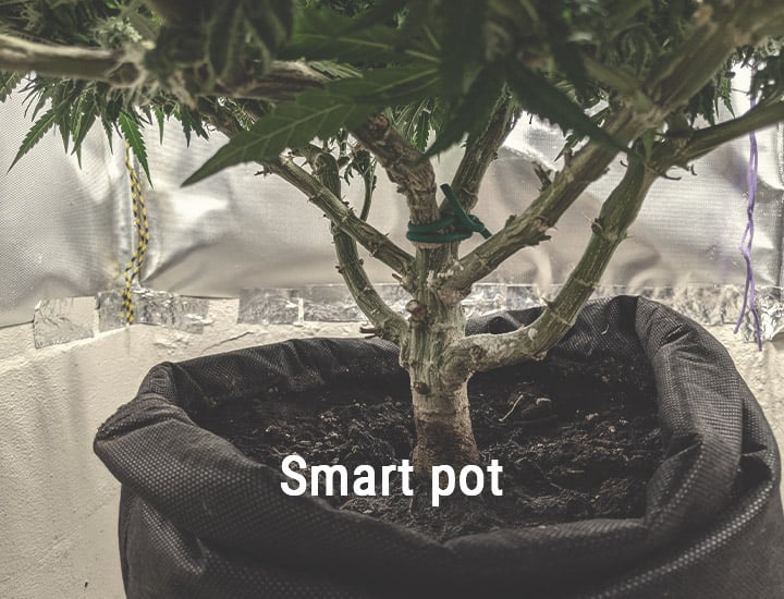 Smart Pots