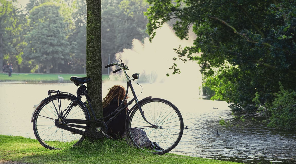 In the Park