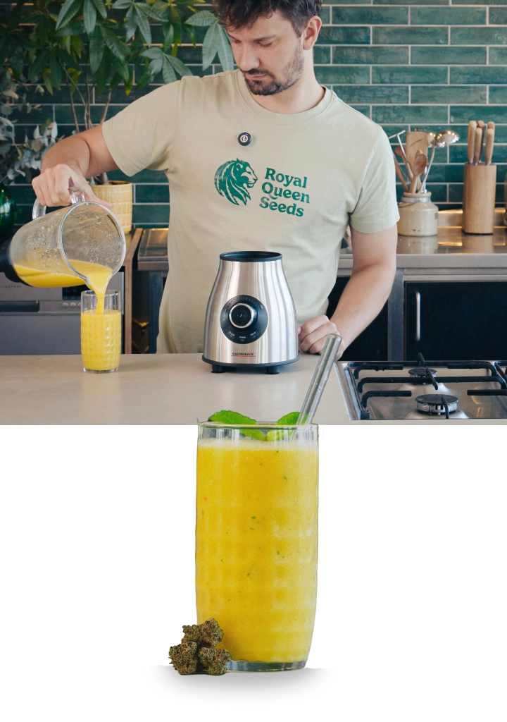 Blending a mango cannabis smoothie and pouring the finished drink into a glass, ready to serve with a smooth, creamy texture.