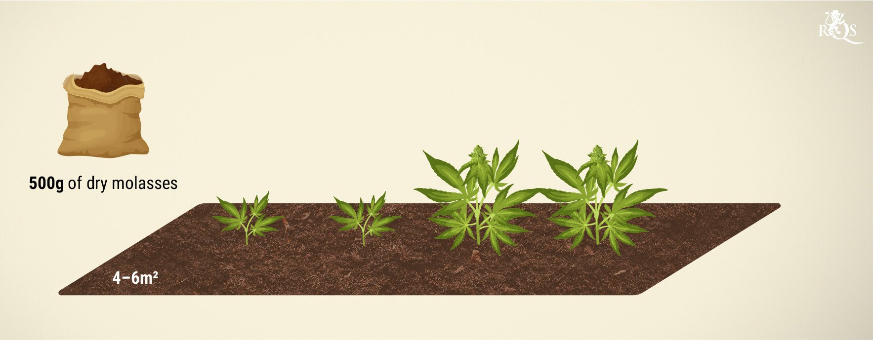 Using Molasses in Soil Using Molasses in Soil