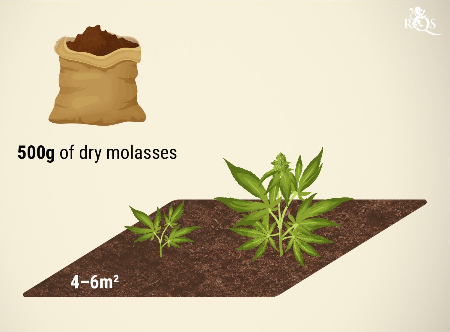 Using Molasses in Soil Using Molasses in Soil