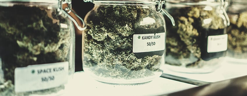 Current Cannabis Classification: A “Strain” on the Industry? Current Cannabis Classification: A “Strain” on the Industry?