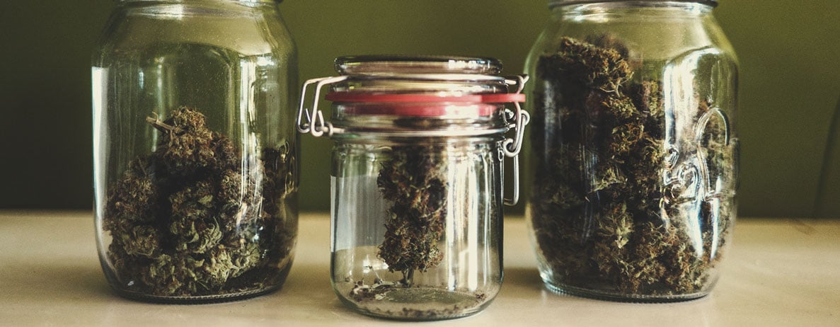 The Effects of Different Cannabinoid Profiles The Effects of Different Cannabinoid Profiles