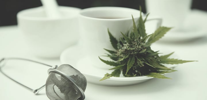 All of the Ways to Use Cannabis All of the Ways to Use Cannabis