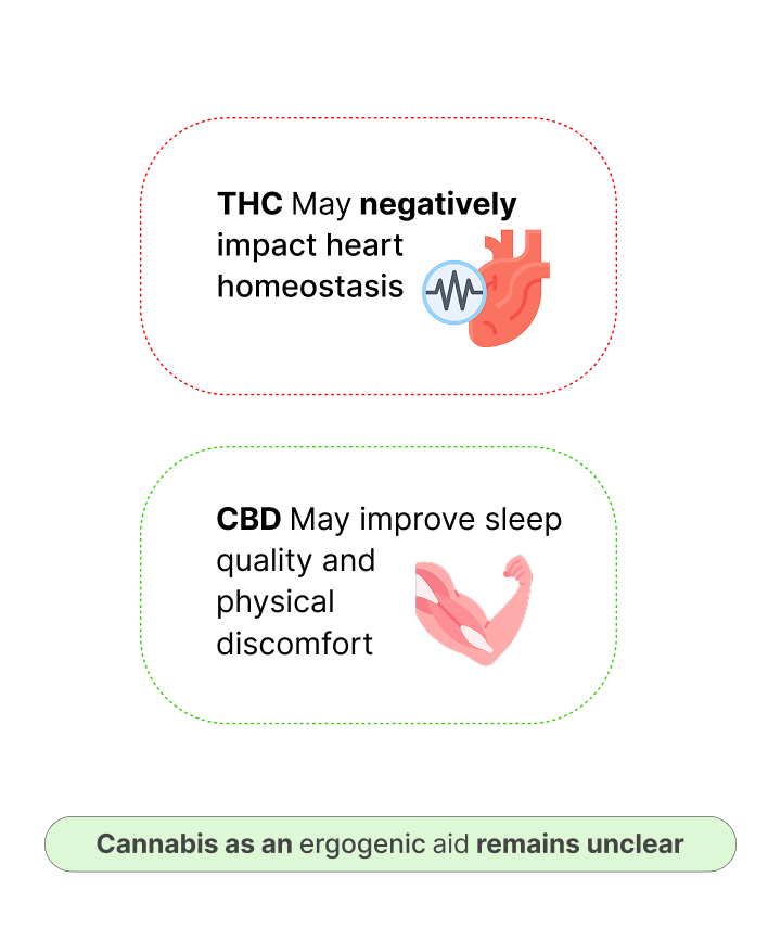 Infographic showing potential effects of THC and CBD on athletic performance, heart homeostasis, sleep quality, and recovery