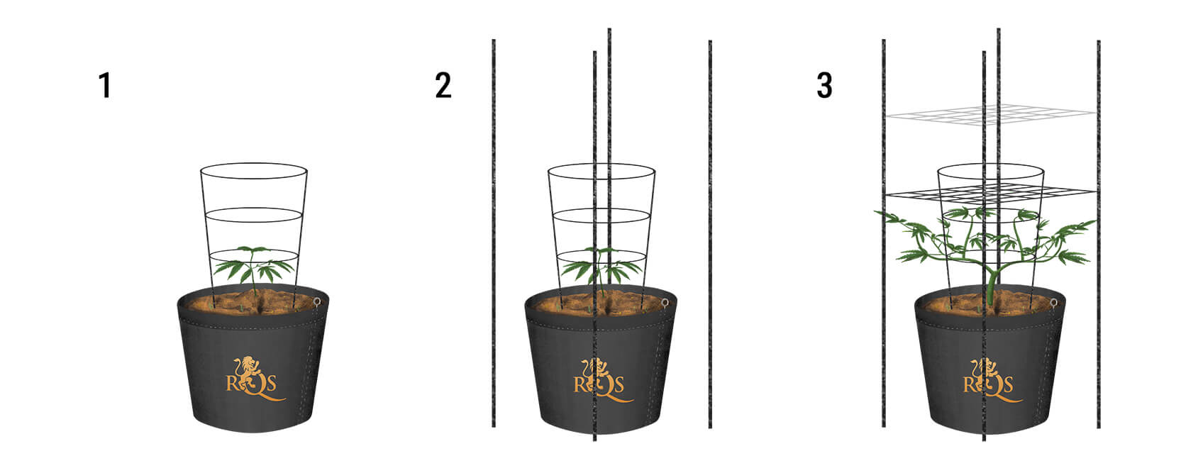 How To Trellis Cannabis Outdoors