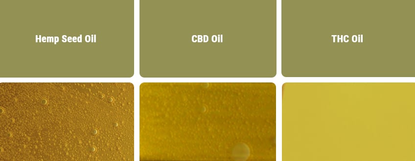 CBD Oil vs Other Types of Oils