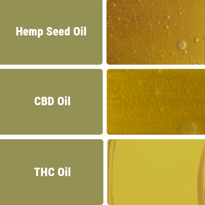 CBD Oil vs Other Types of Oils