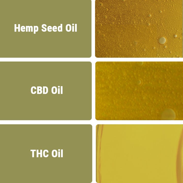 CBD Oil vs Other Types of Oils CBD Oil vs Other Types of Oils