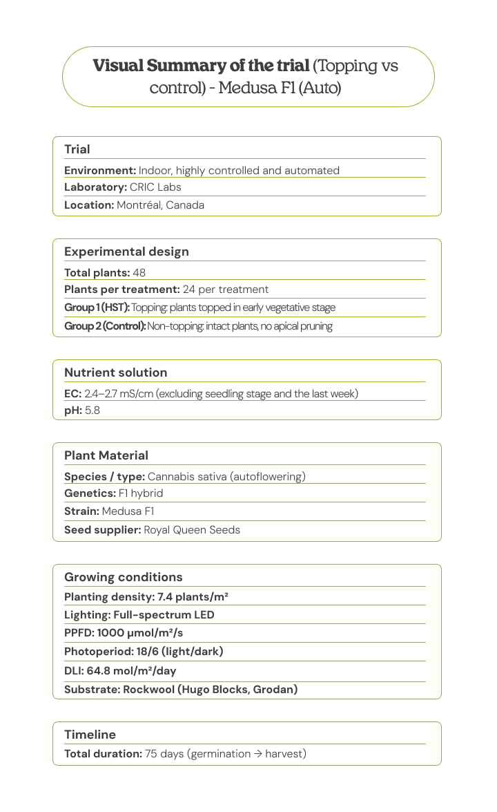 Medusa F1 (Auto) topping vs control trial – visual summary Visual summary of the Medusa F1 (Auto) trial comparing topping vs control, showing experimental design, plant material, growing conditions, nutrient solution, and timeline