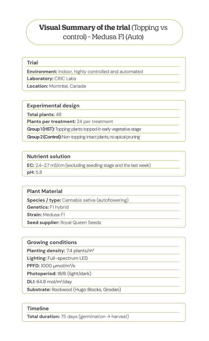 Visual summary of the Medusa F1 (Auto) trial comparing topping vs control, showing experimental design, plant material, growing conditions, nutrient solution, and timeline
