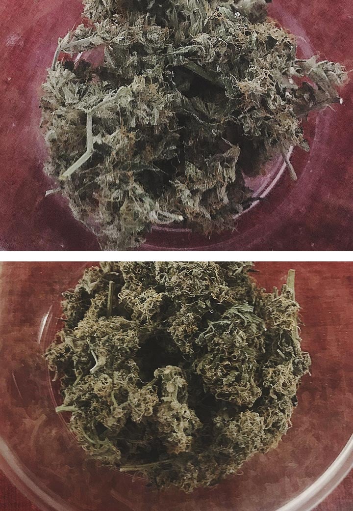 Cannabis Water Curing Cannabis Water Curing